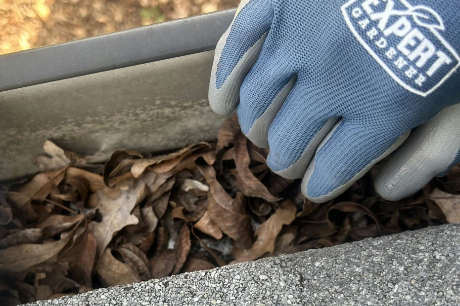 Gutter Cleaning Douglasville