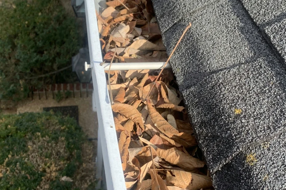 Gutter Cleaning Douglasville