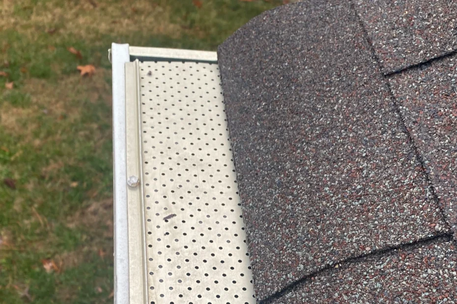 Gutter Cleaning Douglasville