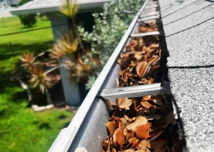 Gutter Cleaning Douglasville home page